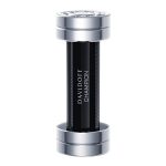 عطر ادکلن دیویدوف چمپیون